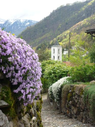 a garden with purple flowers on a stone wall at Da Erminia in Verdabbio