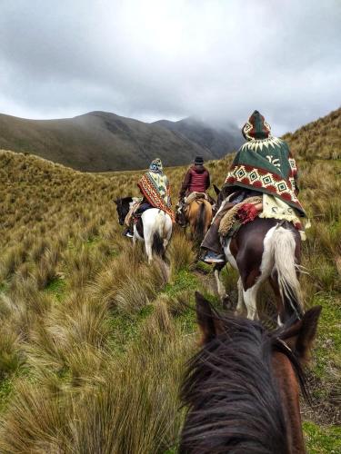 a group of people riding horses down a hill at Ruta de los volcanes in Machachi