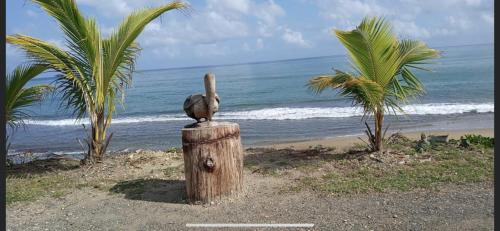 a statue of a bird sitting on a post near the beach at Casa Del Mar !!! Ocean front villa in Aguada