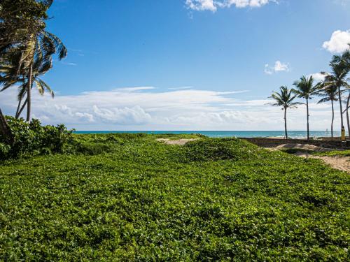 a grassy beach with palm trees and the ocean at Residencial Mañanero in Cabarete