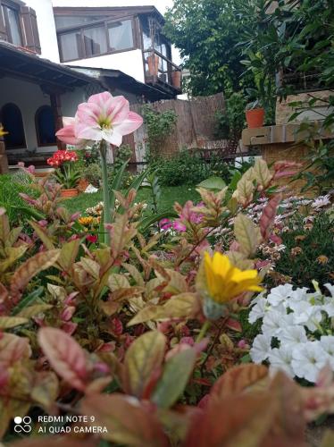 a garden of flowers in front of a house at Poly's Sea Side House in Koropi