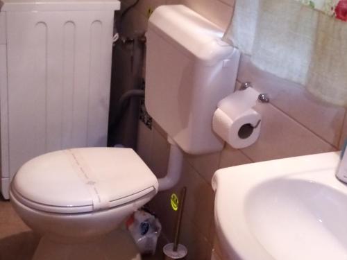 La salle de bains est pourvue de toilettes blanches et d'un lavabo. dans l'établissement Apartman 2, à Krapina