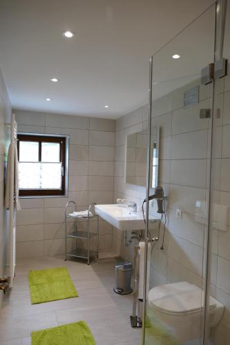 a bathroom with a sink and a shower and a toilet at Vorderhof in Sankt Martin am Tennengebirge