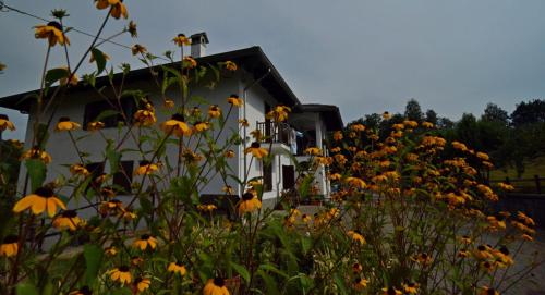 Taman di luar Favetto Family Ranch