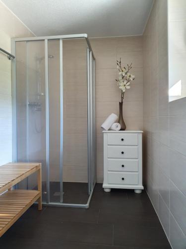 a bathroom with a shower and a white dresser with flowers at LANDHAUS DORNAU Apartments in Mayrhofen
