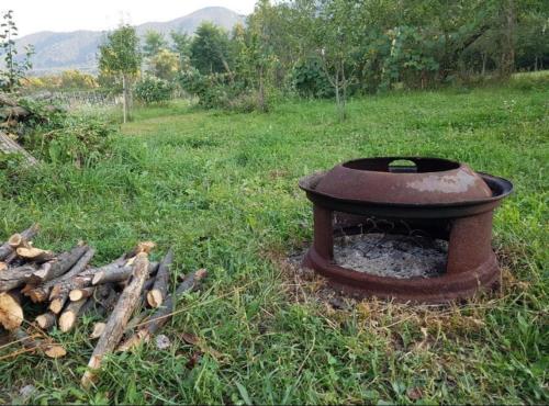 a barbecue in the grass next to a pile of logs at Pensiunea Adeluta Apartament in Călimăneşti