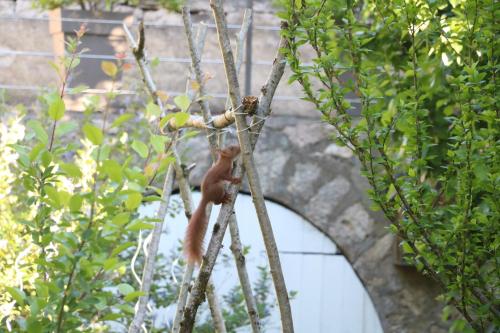Photo de la galerie de l'établissement Suite independante a Nuits, à Nuits-Saint-Georges