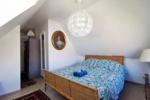 Photo de la galerie de l'établissement COC - Quanel, à Wissant