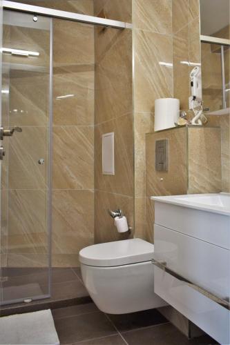 a bathroom with a toilet and a glass shower at Top center apartment Gramophone with private parking in Burgas