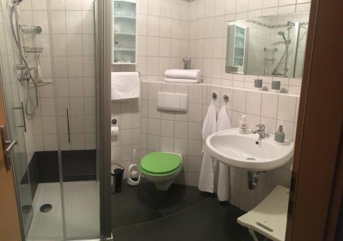a bathroom with a green toilet and a sink at Am Tor zur Sächsischen Schweiz in Lohmen