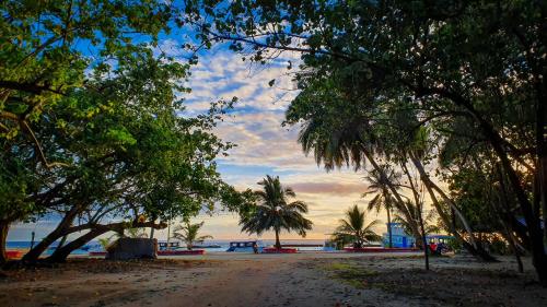 a view of a beach with trees and the ocean at New Breeze Thoddoo Inn in Thoddoo