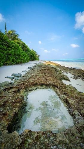 a beach with a pool of water next to the ocean at New Breeze Thoddoo Inn in Thoddoo