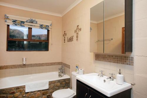 a bathroom with a sink and a tub and a toilet at Baviaanskloof Guest Cottages in Studtis