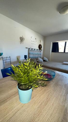 a potted plant sitting on a table in a living room at Blue Apartment in Pescara