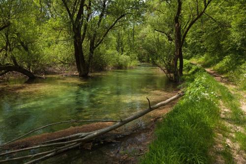 Φυσικό τοπίο κοντά σε αυτός ο ξενώνας