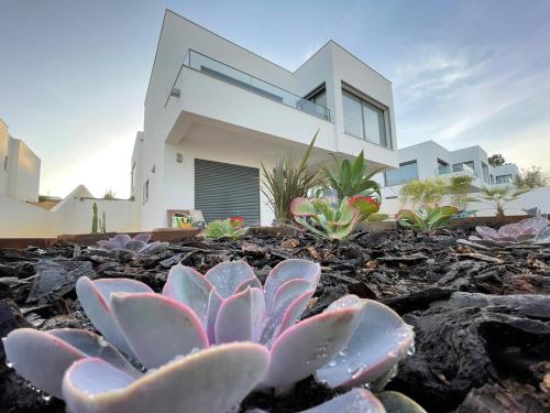 a white house with plants in front of it at Cairnvillas: Villa Terra C39 - Luxury Villa with Private Swimming Pool near Beach in Aljezur