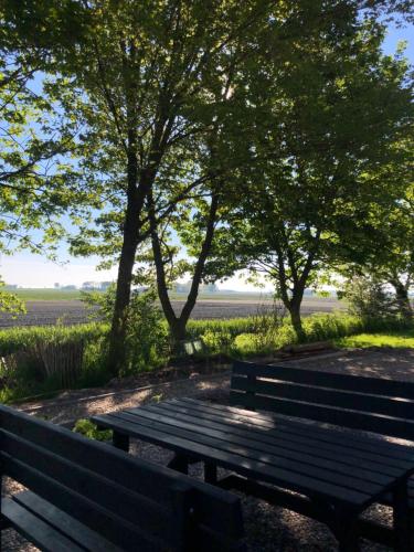 two benches in a park with trees in the background at B and Be Happy Friesland in Lioessens