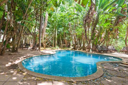 una piscina in mezzo a una giungla con alberi di Greenfire Hazyview Lodge a Hazyview