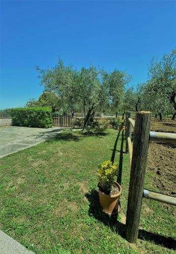 Tenuta Del Casale – Photos 3