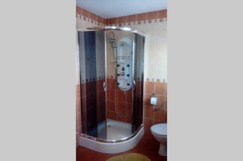 a bathroom with a shower and a toilet at Gospodarstwo Agroturystyczne U Nos Apartament Bioły in Ratułów