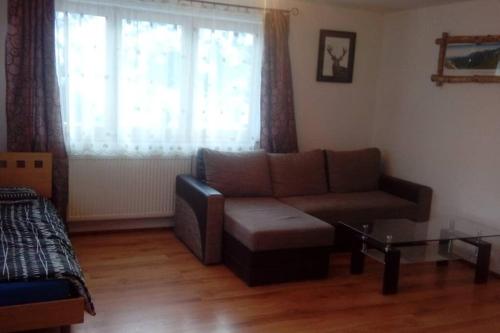 ein Wohnzimmer mit einem Sofa und einem Fenster in der Unterkunft Gospodarstwo Agroturystyczne U Nos Apartament Bioły in Ratułów