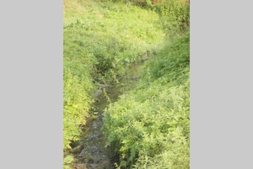 an aerial view of a creek in a field at Gospodarstwo Agroturystyczne U Nos Apartament Bioły in Ratułów