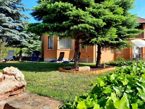 two trees in the yard of a house at Harmónia Vendégház in Balatonalmádi