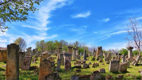 a group of graves in a field with a blue sky at Vila Milenovic Rajacke Pivnice in Rajac