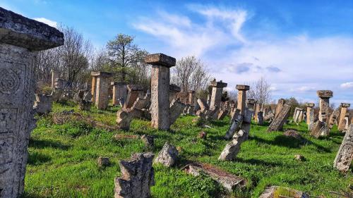 a group of gravestones in a grassy field at Vila Milenovic Rajacke Pivnice in Rajac