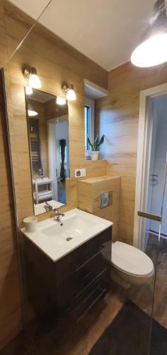a bathroom with a sink and a toilet and a mirror at Kamień Bałtyku Apartament in Debina