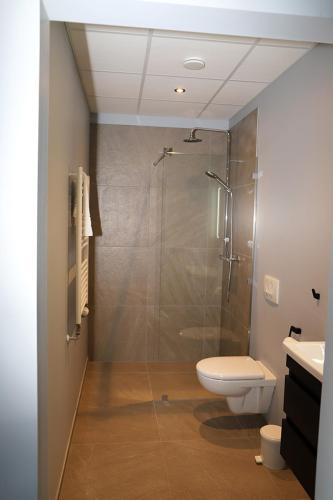 a bathroom with a shower and a toilet at Tryggvabraut 24 One Bedroom Apartment in Akureyri
