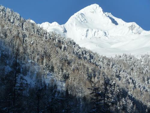 a snow covered mountain with trees in front of it at Dorfblick Appartements & Rooms in Senales