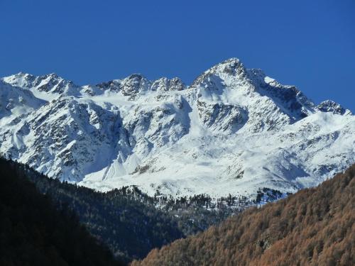 a snow covered mountain with trees in front of it at Dorfblick Appartements & Rooms in Senales