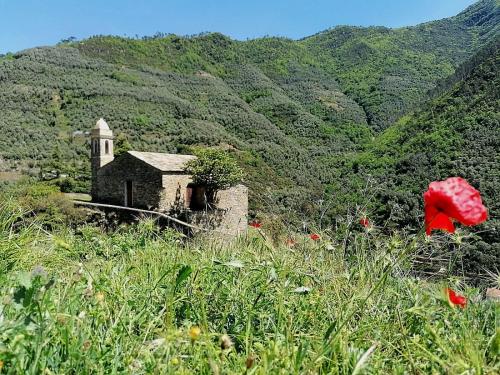 an old building in the middle of a field of flowers at CASA LEONE BADALUCCO in Badalucco