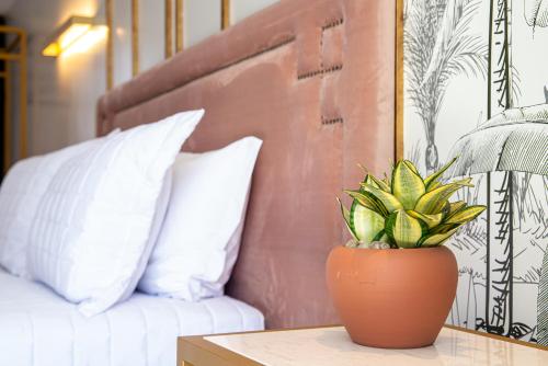 a potted plant sitting on a table next to a bed at Exótica Boutique Hotel in Pipa