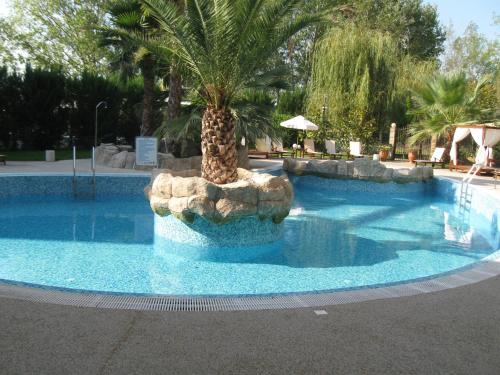 a large swimming pool with a palm tree in it at Апартаменты Aphrodite Roce in Sunny Beach