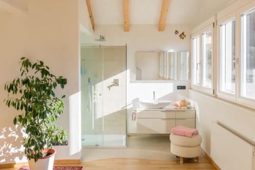 a bathroom with a shower and a sink at Villa Sonnenschein in Terlano