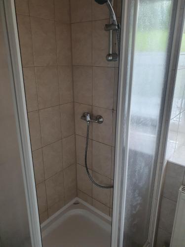 a shower with a shower head in a bathroom at Gasthaus Blunzenwirt in Breitenstein