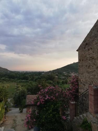 a view from the balcony of a house with pink flowers at Il Brillocco in Castellabate