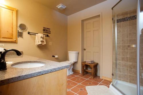 La salle de bains est pourvue d'un lavabo, d'une douche et de toilettes. dans l'établissement Cascade Village 352, à Durango Mountain Resort