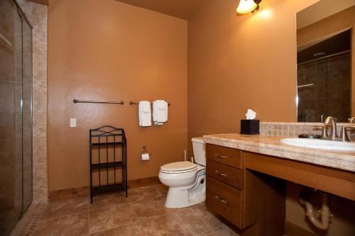 a bathroom with a toilet and a sink and a shower at Peregrine Point 103 in Durango Mountain Resort