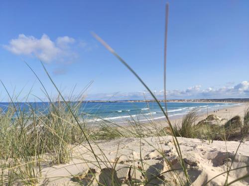 a beach with sand and the ocean in the background at G3 Gamboa Beach Houses in Peniche