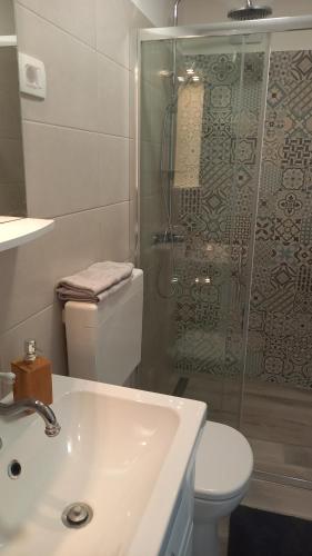 e bagno con doccia, servizi igienici e lavandino. di App Parenzana a Grožnjan (Grisignana)