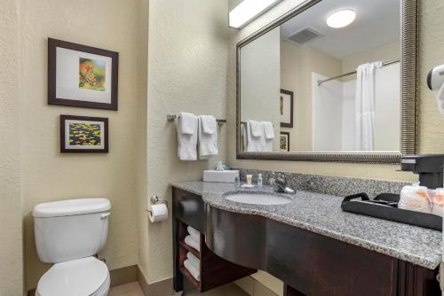 Ванная комната в Comfort Inn & Suites Marianna I-10