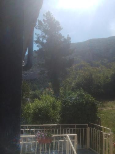 a view of a tree from a balcony of a house at B&B Bella Vista in Dorgali