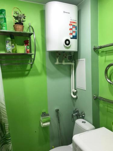 クロンシュタットにあるApartment Airinの緑の壁の緑のバスルーム(トイレ付)