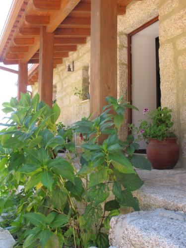 a porch of a house with a potted plant at Casa das Lapas in Soajo