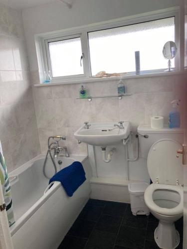 a bathroom with a sink and a toilet and a bath tub at Channel Vista in Glenarm