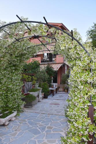 an arbor covered in white flowers next to a building at Grand Apartments Scepanovic in Tivat