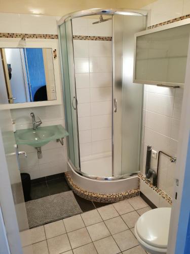 une salle de bain avec douche et lavabo dans l'établissement Studio Le Cécile, au Croisic